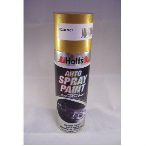 HGOLM01 Paint Match Pro aerosol spray paint gold metallic