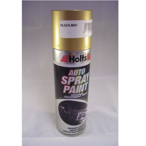 HLGOLM01 Paint Match Pro aerosol spray paint gold metallic